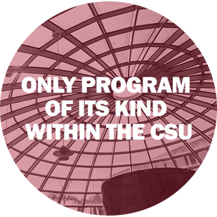 ONLY PROGRAM OF ITS KIND WITHIN THE CSU